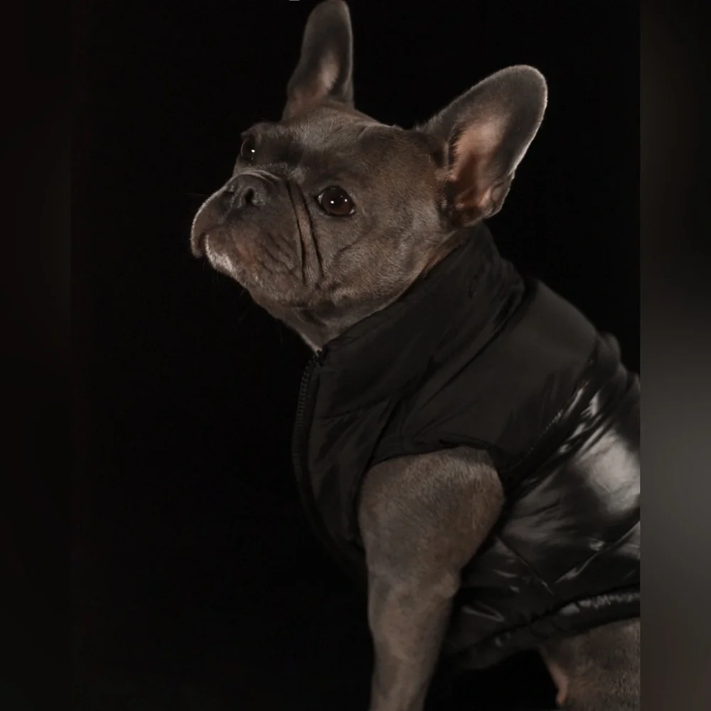 PETsRUS Black Puffer Dog Vest Winter Cold Season Coat Jacket w Zipper Padded